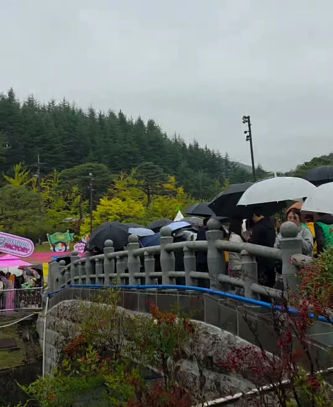 야 비오면 김밥축제 사람 없다고 한놈 나와!!!!! (7)