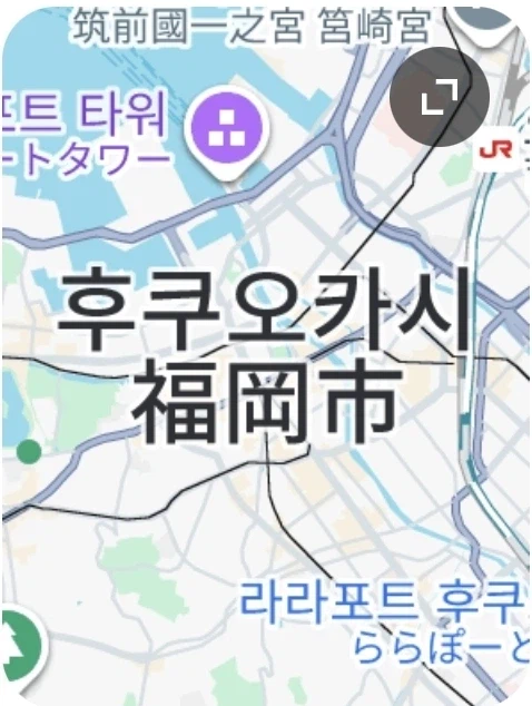 ???: 부산에 모츠나베하는 식당이 있었나...🌐 (3)