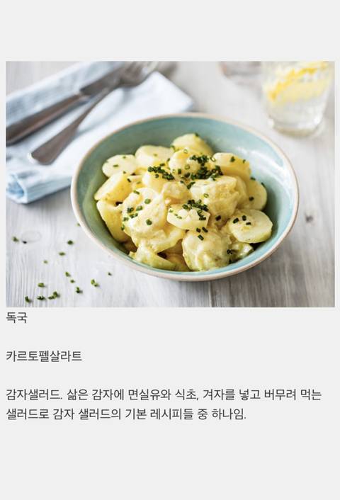 전 세계 나라들의 대표 샐러드