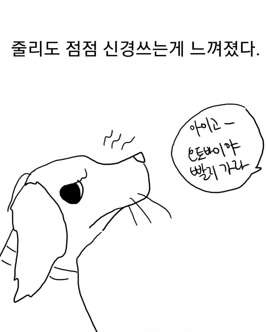 오토바이 무서워하는 강아지 교육하는 만화 (9)