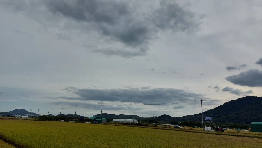 시골 살 때 ㄹㅇ 무시 못할 장점 (10)