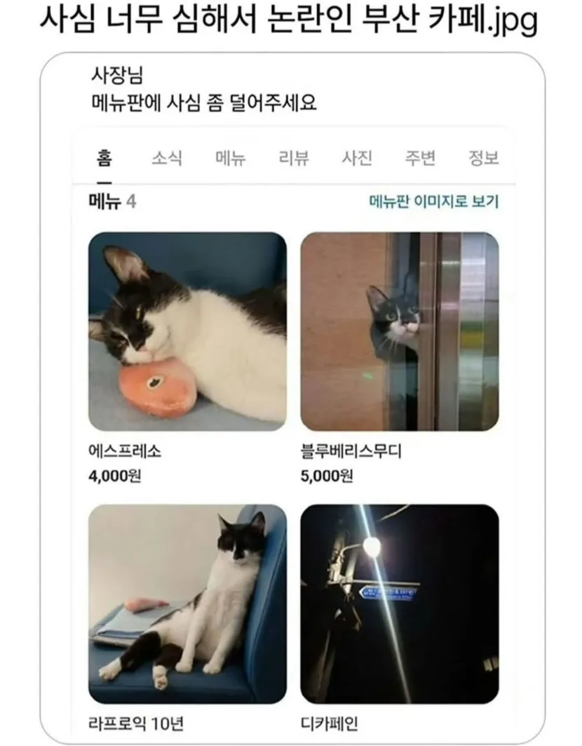 사심 너무 심해서 논란인 부산 카페