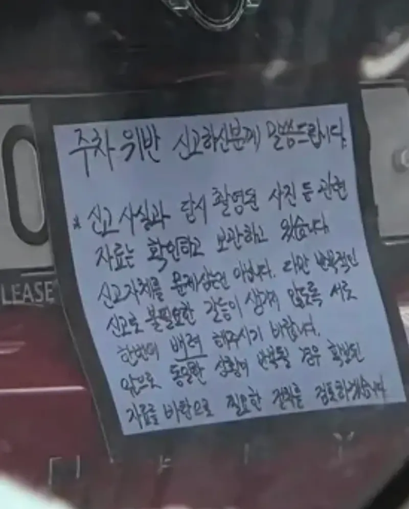 불법 주차한 차주 (3)