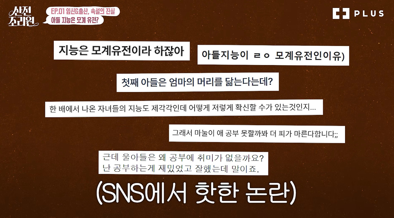 엄마 지능과 아들 지능의 관련성 (2)