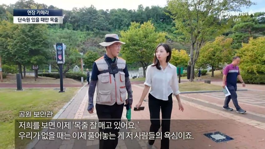 채널a) 단속원 퇴근하자...공원이 '개판' (8)