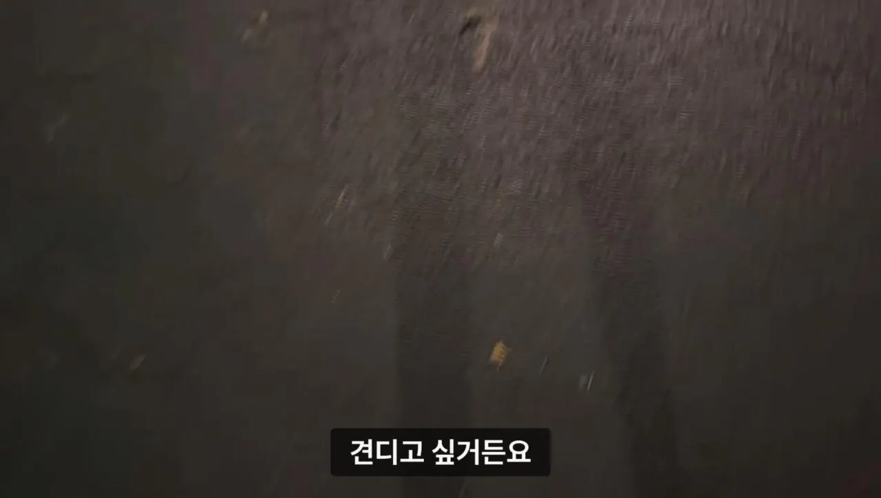 군대 안 가본 여자의 20kg 20km 행군 도전
