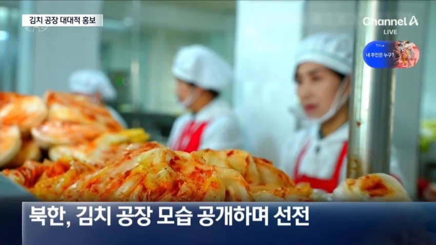 채널a) 김치 공장에 불고기 식당...북한, 러시아 현금 덕분? (3)