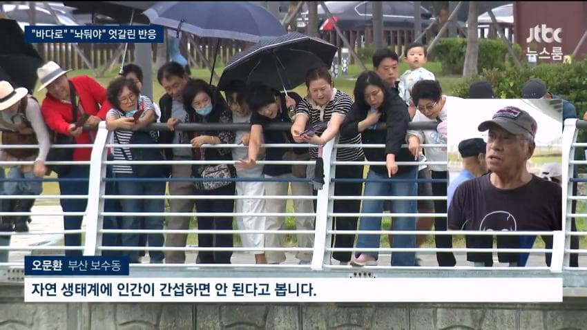 부산 상어.... 부캉이 구조 실패 ㄷㄷ...News (19)