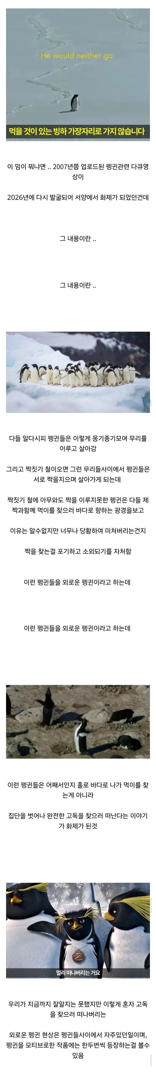 해외에서 유행했던 외로운 펭귄 밈...jpg