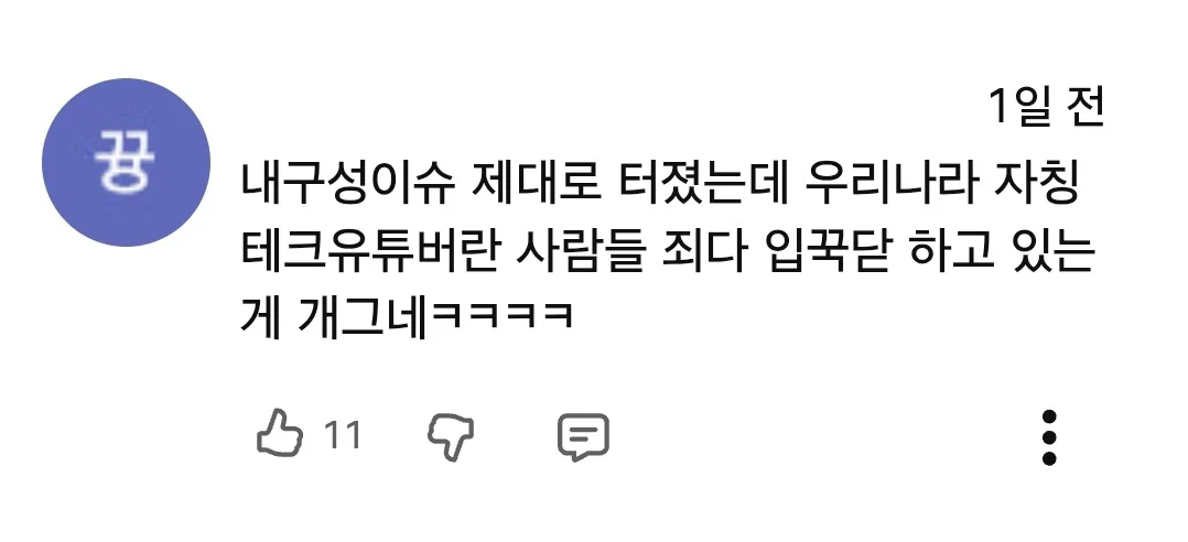 아이폰 듀오 리뷰 영상 반응 안 좋은듯한 잇섭 (27)