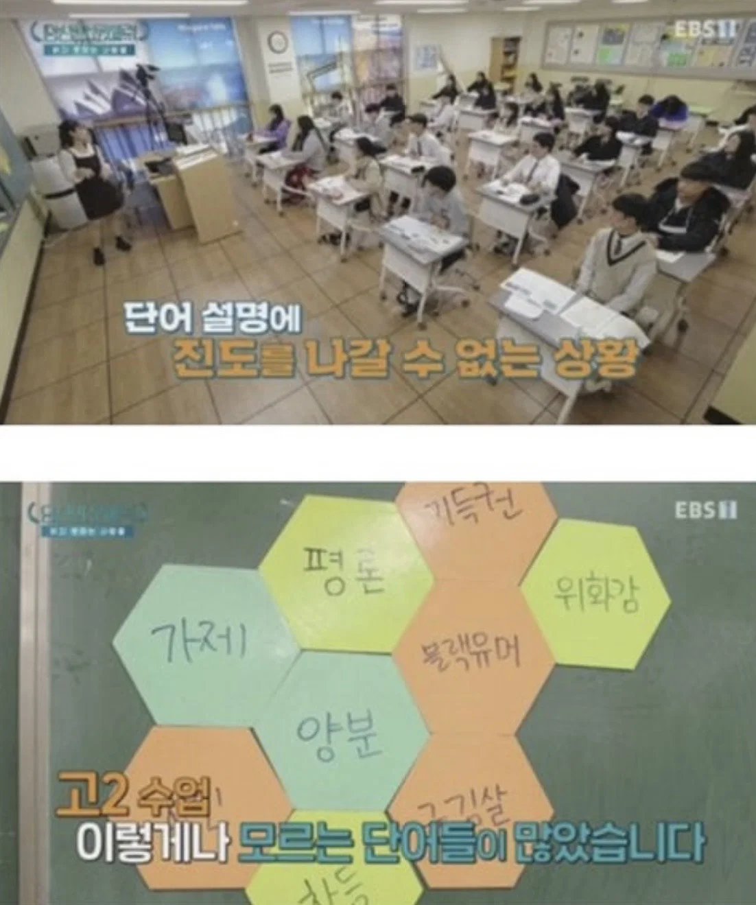 요즘 사람들의 심각한 문해력 수준; + 유퀴즈추가 (26)