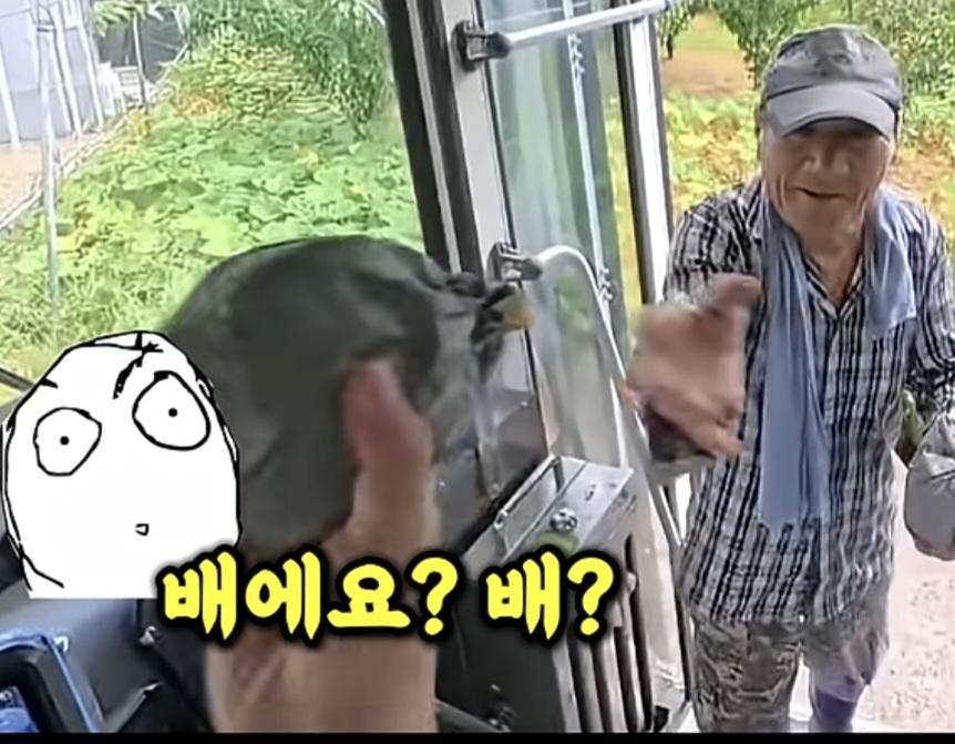 시골 카르텔 (8)