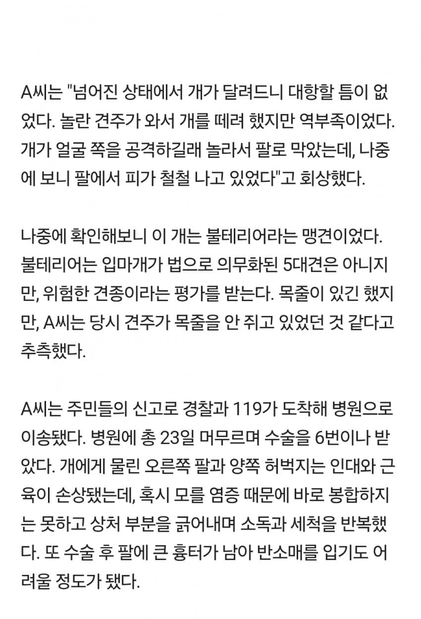 산책하다 '피투성이' 된 남성…맹견에 물렸는데, 견주 "공격 빌미 줬다" (2)