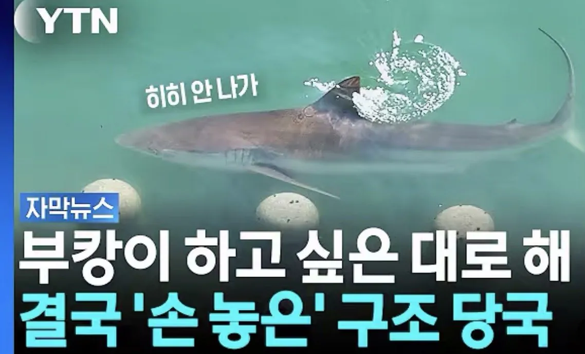부캉이 구조 결국 gg침