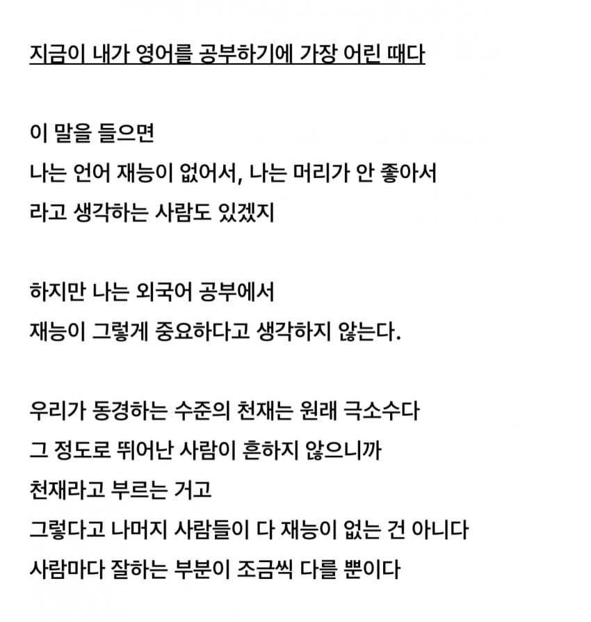 싱글벙글 애매한 재능일수록 외국어 공부를 시작해라 (3)