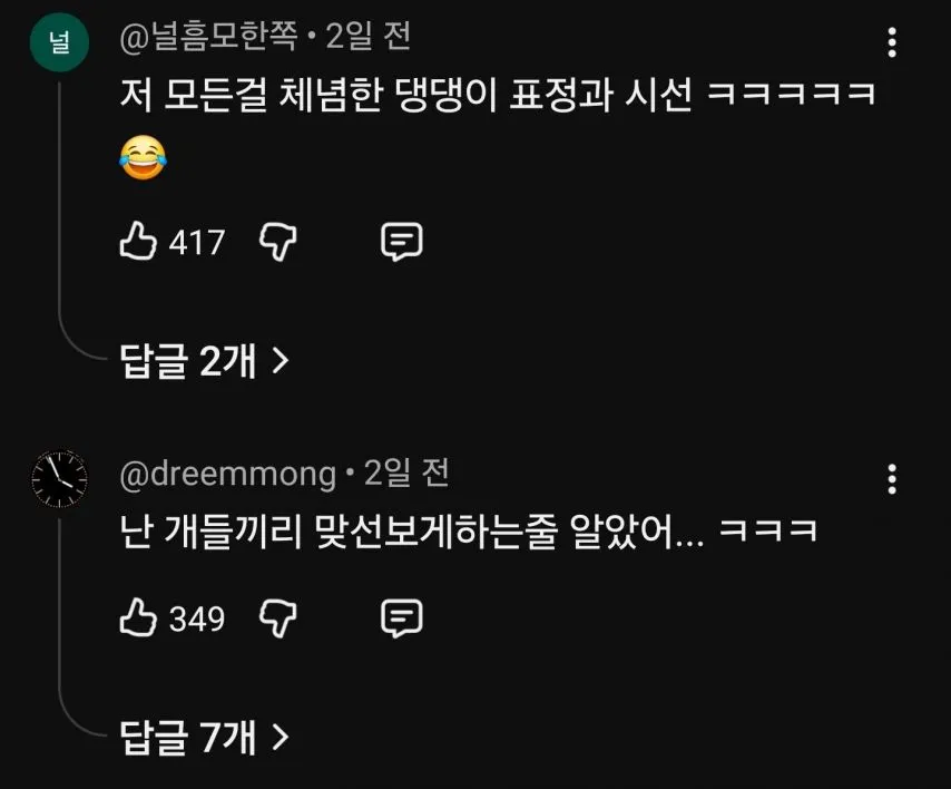 누나들이 놀자고 하면 생기는 일
