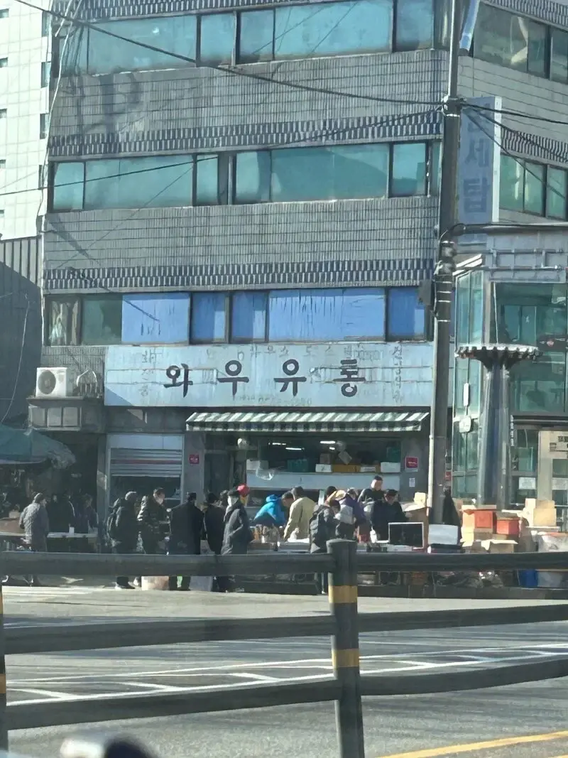 와우유통 보소
