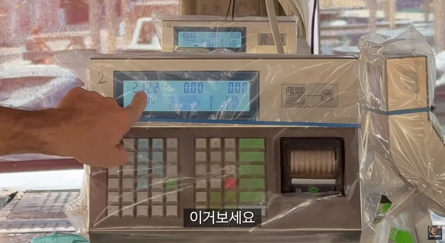 이탈리아에서 청게(블루크랩) 가격 (39)