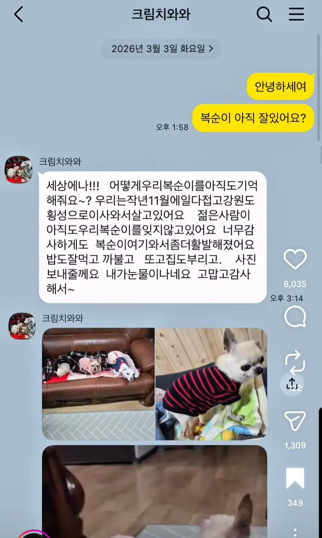 10년 전 유기견을 입양했던 사람에게 다시 연락해봤다