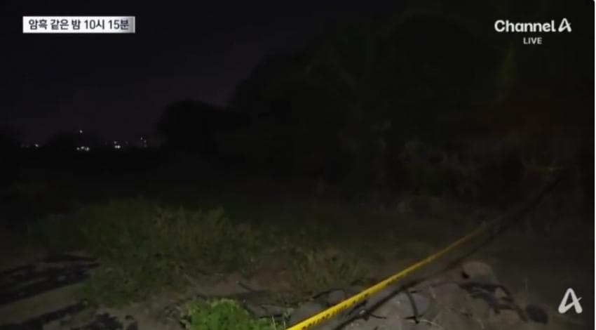 제주실종자가 발견 된 야자수 숲 가는 길을 밤에 직접 가본 기자.. (11)
