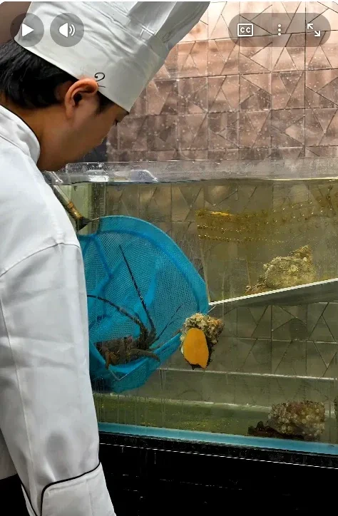 일본 33만원 철판 오마카세 영상 댓글 반응이 별로였던 이유