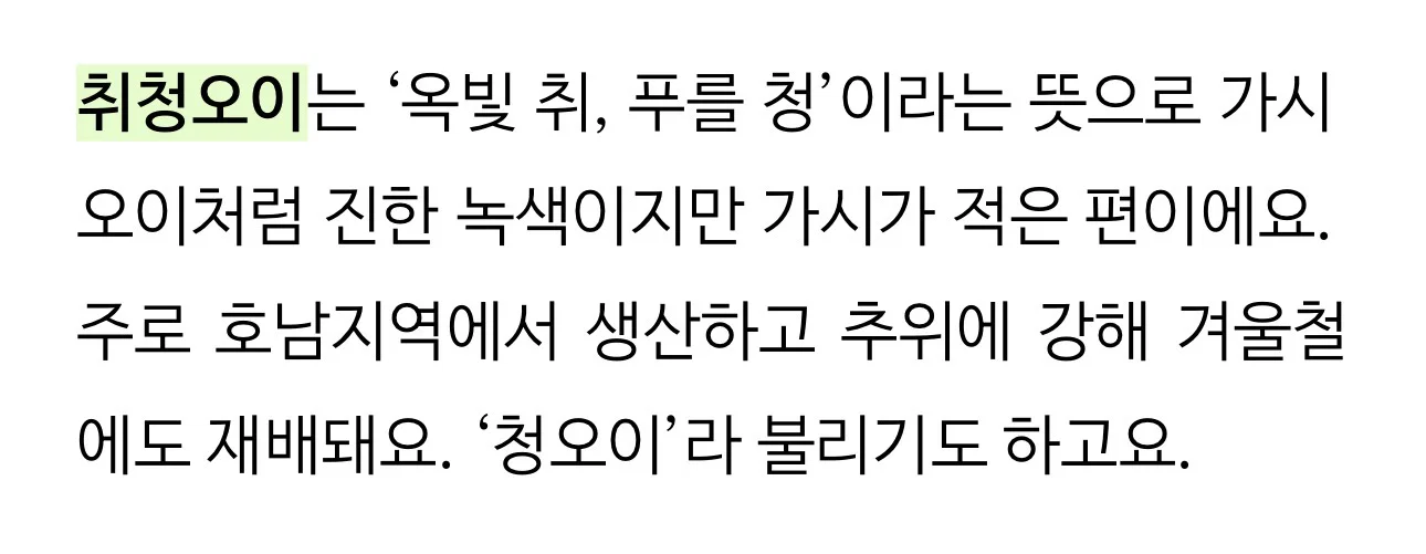 우리나라에서 수도권&충청도 / 전라도 / 경상도&제주도 지역마다 다르다는 채소 (3)