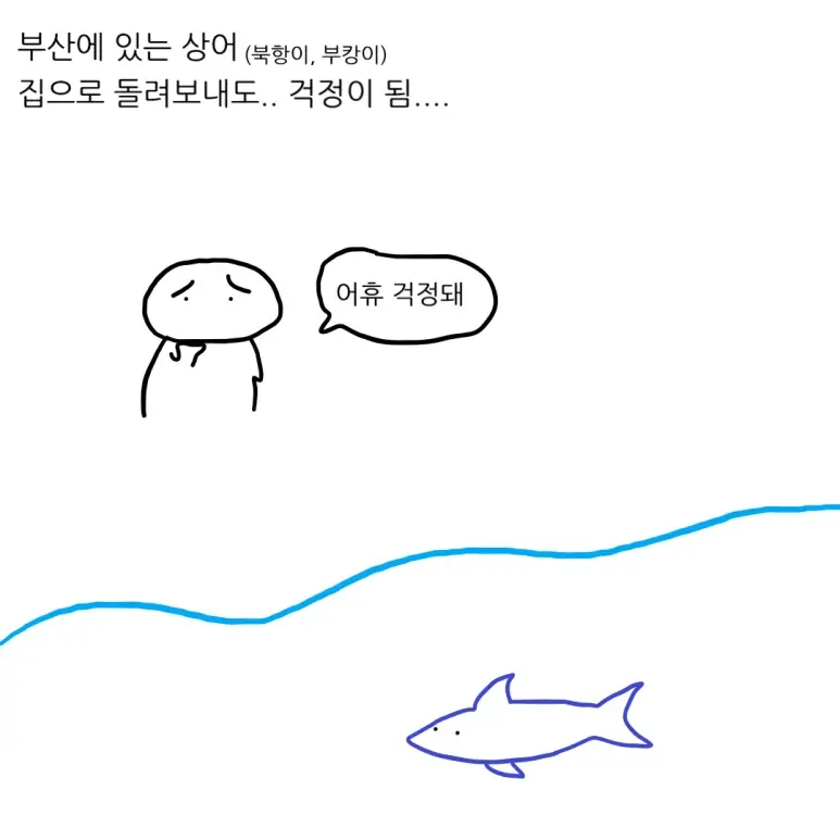 부산 상어의 미래 (2)