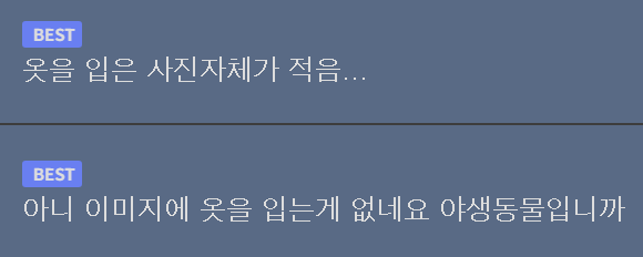 검색하면 굉장한게 나온다는 분 (5)