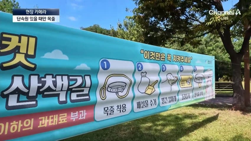 채널a) 단속원 퇴근하자...공원이 '개판' (7)