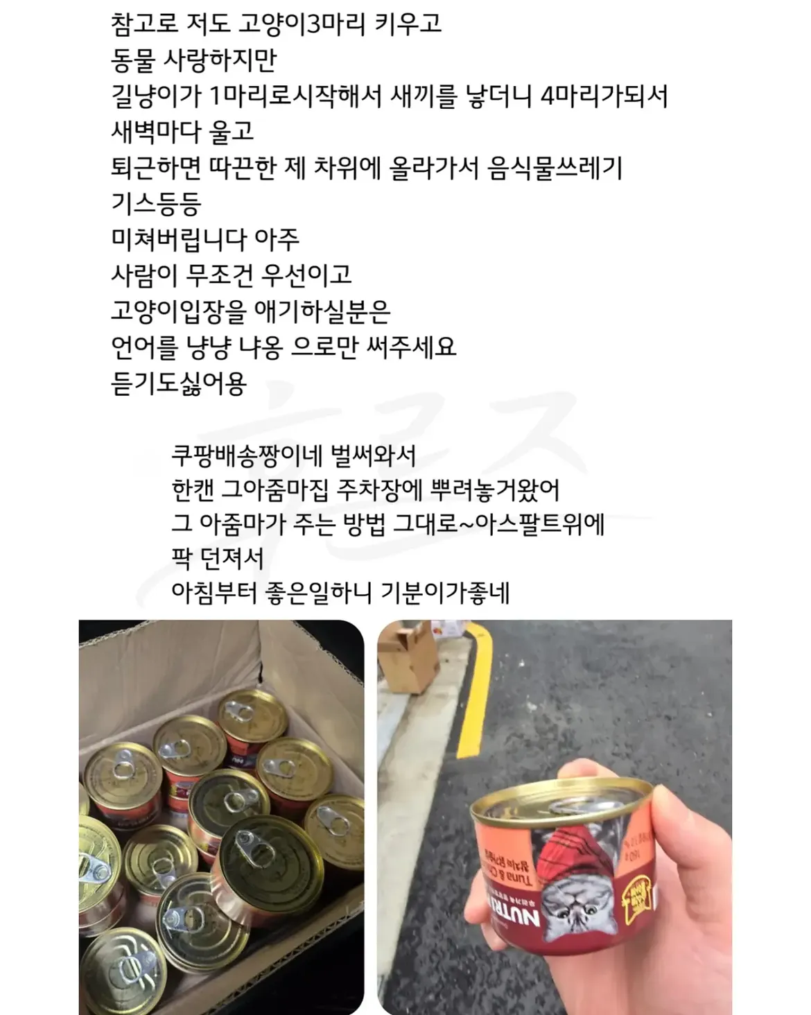 싱글벙글 캣맘 처리법 (2)