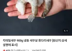 칵테일새우 900g 냉동 새우살 흰다리새우