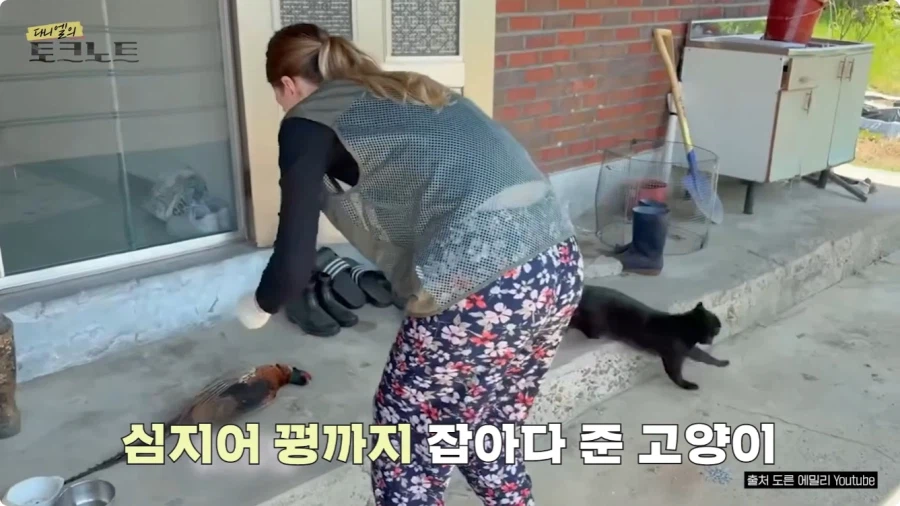어느 독일인이 한국시골에서 생활하는 이유 (26)