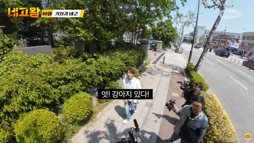 싱글벙글 얘는 개인기가 따로 없고요 줄 잡으면 주인이에요