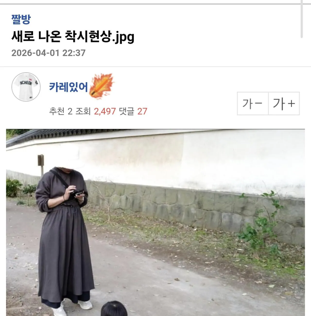 새로 나왔다는 착시 사진