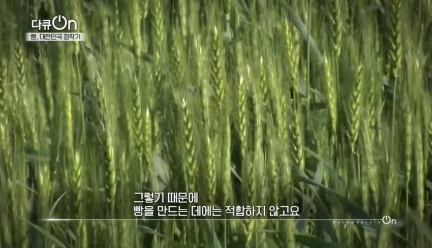 싱글벙글 조선시대 빵덕후 (28)