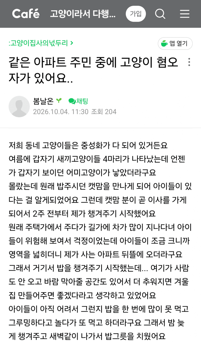 아파트에서 싸운 캣맘
