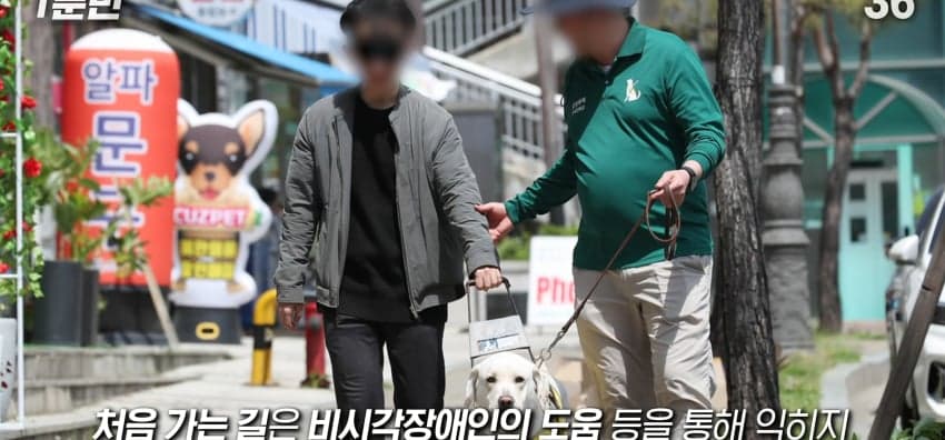 안내견은 목적지를 어떻게 아는 걸까? (16)