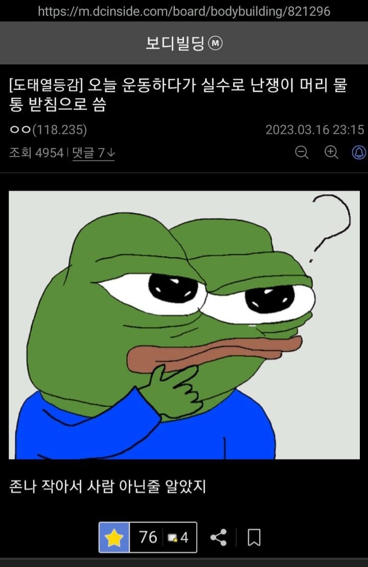 싱글벙글 보디빌딩갤 난쟁이 문학모음 (12)
