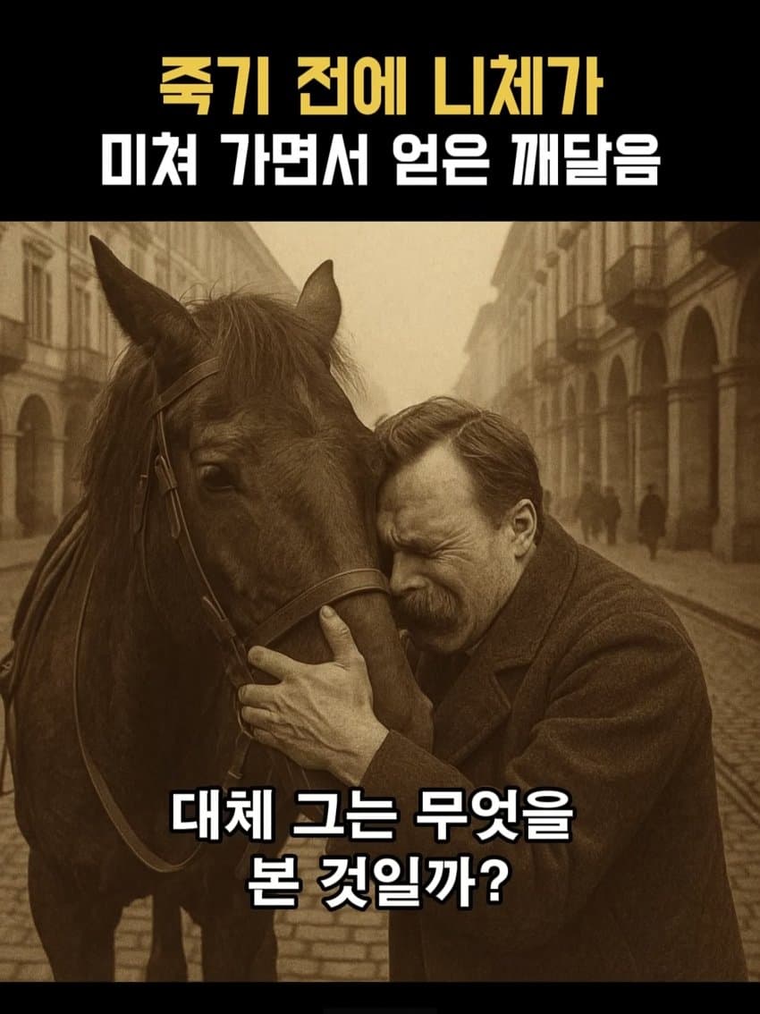 ㅂㅅㅂㅅ 니체가 죽기 직전에 미친 이유 (8)