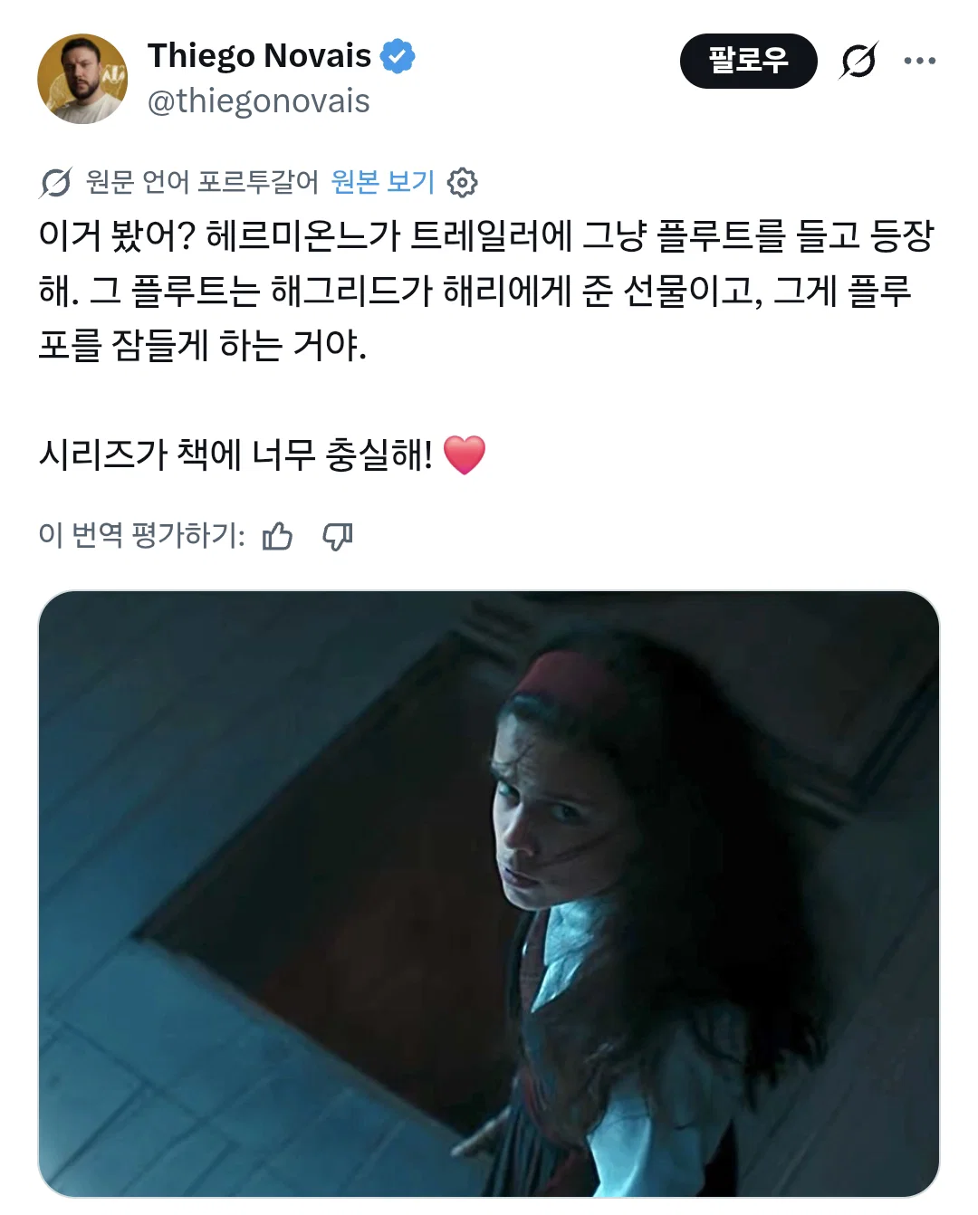 해리포터 드라마를 대하는 머글과 찐팬 (4)