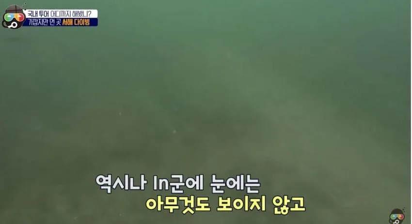 동해 vs 남해 vs 서해 물속 비교. jpg