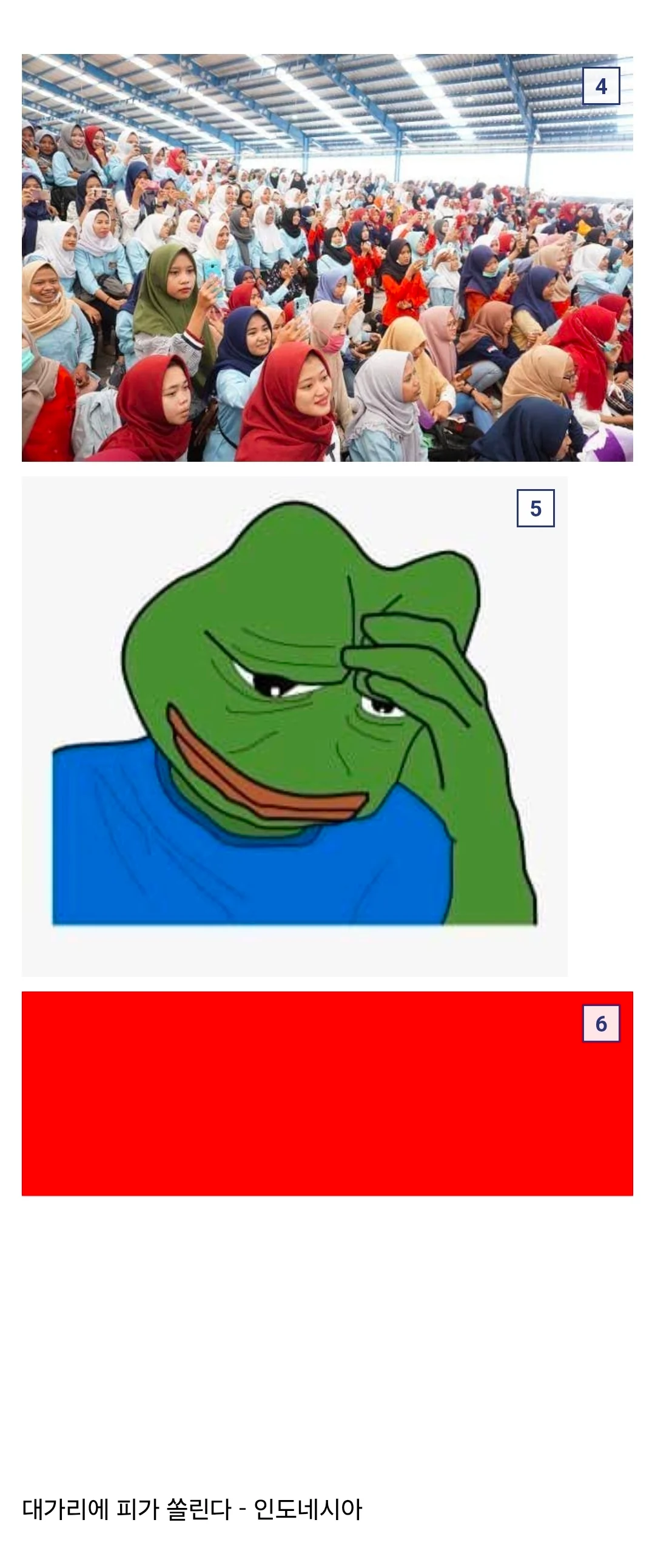 간단하게 폴란드 인도네시아 국기 구별하기. (2)
