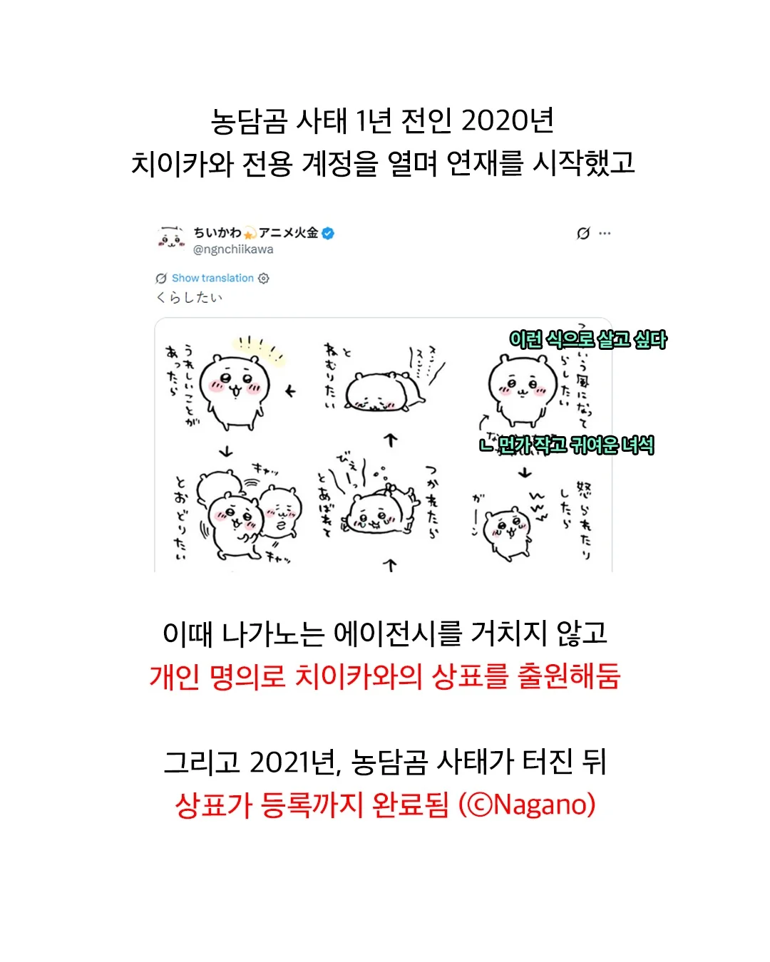 농담곰이 갑자기 사라진 이유 (7)