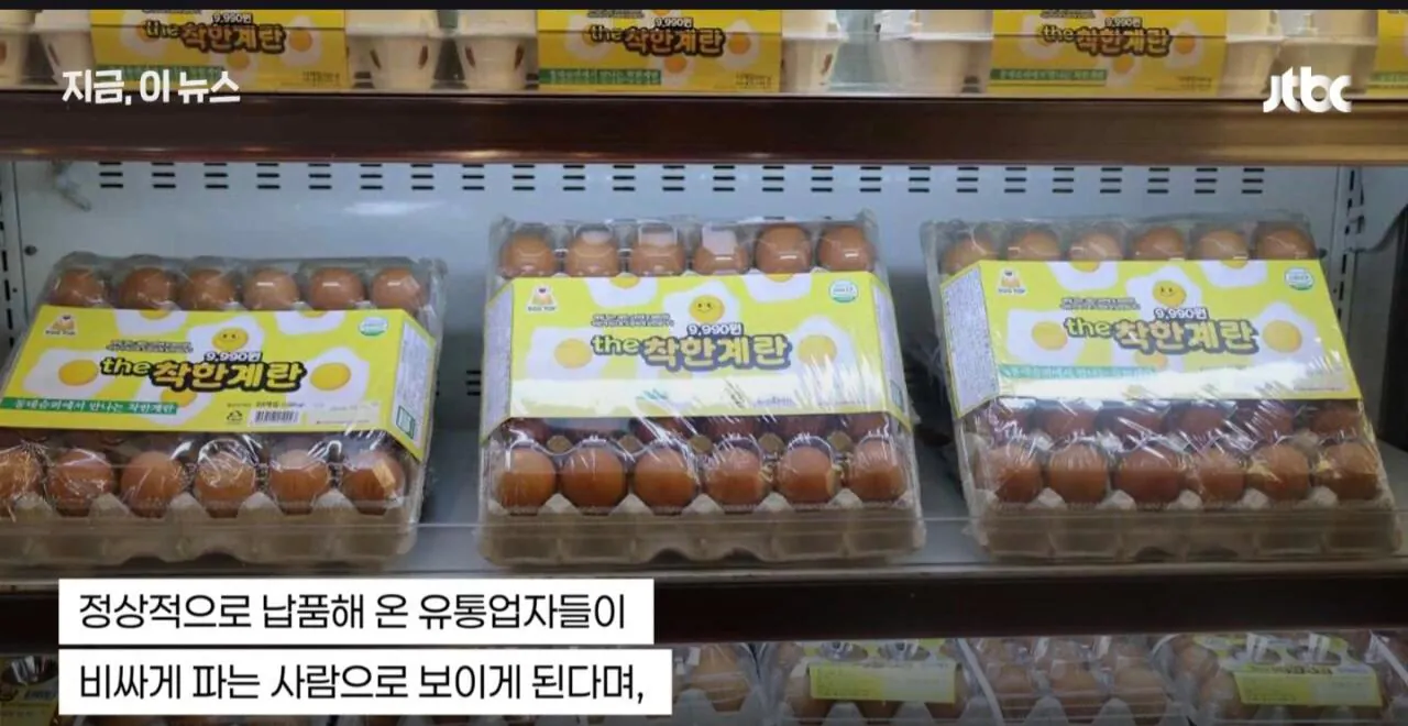 싱글벙글 착한 계란 (9)