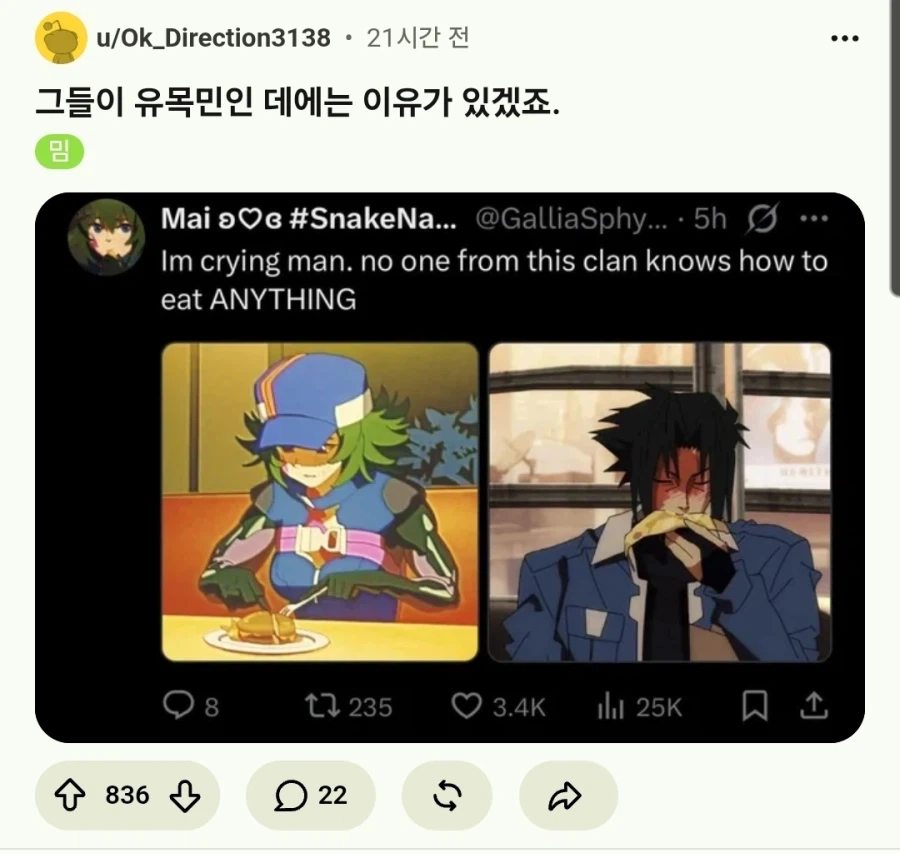 사펑) 서양에서 무지막지 까이는 여캐