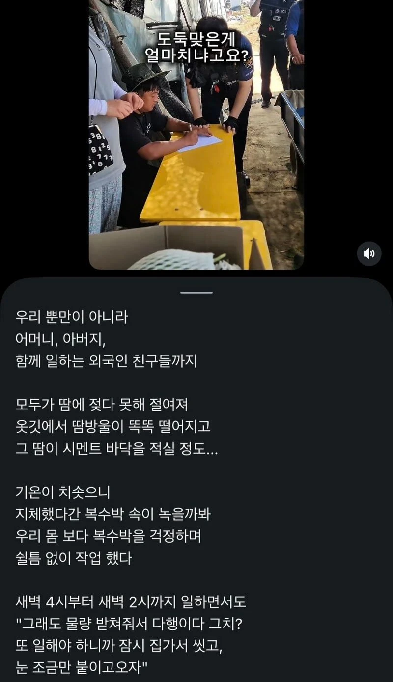 애써 지은 농작물을 짧은 틈에 도난 당했다..jpg