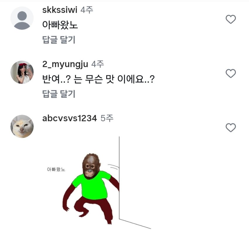 싱글벙글 베트남 와이프가 차려준 도시락 (8)