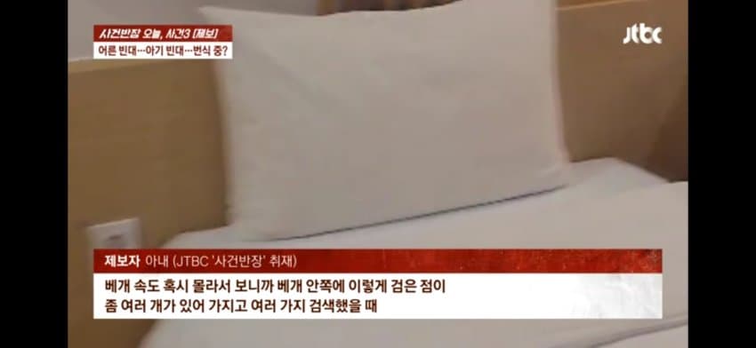해운대 한 호텔에 빈대 출현…호텔은 "환불 불가" (6)