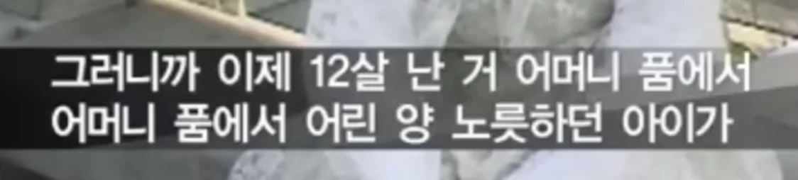 북한의 일본군 성노예 피해자 증언 (4)