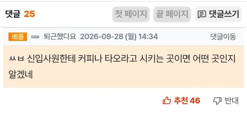 심부름 너무 많이 시켜서 1달만에 도망간 신입 (3)